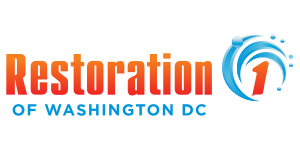 Restoration of Washington DC Logo